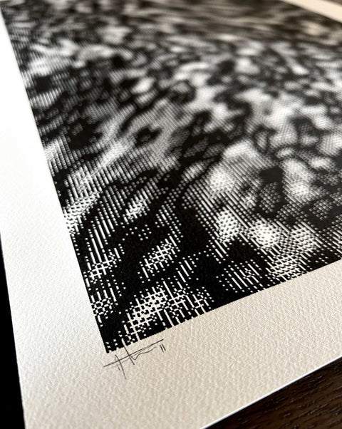 Math & Noise #1 (1 of 1)